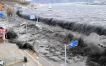 Nhật Bản đón sóng thần cao... 10cm