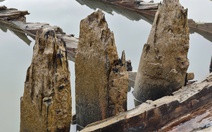 Mong sớm giải mã con tàu cổ ở Hội An