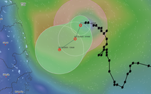 Bão số 15 suy yếu thành áp thấp nhiệt đới, Biển Đông khả năng có 1-2 cơn bão, áp thấp trong tháng 12