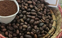 Giá cà phê bất ngờ tăng nhưng nông dân vẫn lo, vì sao?