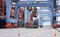 Lo 'nhập siêu logistics' kéo dài, kiến nghị phát triển trung tâm hàng hải quốc tế tại TP.HCM