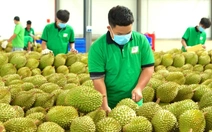 Từ 2026 truy xuất nguồn gốc tất cả nông sản, bán trái cây chứa chất cấm sẽ bị xử lý