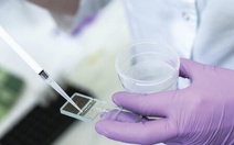 Châu Âu chấn động vụ gần 200 trẻ sinh ra từ tinh trùng người mang gene gây ung thư