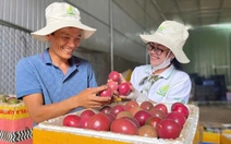 Xuất khẩu chanh leo vượt 200 triệu USD, Tây Nguyên dẫn đầu