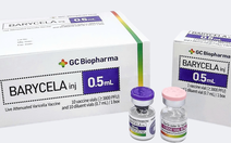 Các điểm mới cập nhật trong Bản hướng dẫn của WHO cho vắc xin thủy đậu