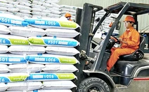 Giá nguyên liệu hạ nhiệt, vì sao thức ăn chăn nuôi vẫn 'đứng giá'?