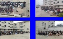 Myanmar phá hủy thêm 17 tòa nhà cờ bạc trực tuyến ở KK Park, bắt 516 người nước ngoài