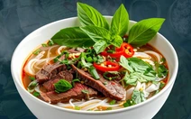 Đại sứ quán Việt Nam tại Pháp, Thụy Điển, Đan Mạch, Thổ Nhĩ Kỳ hưởng ứng Ngày của Phở 2025