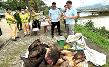 Phát hiện xe khách chở hàng loạt thùng xốp, bao tải nghi thịt động vật hoang dã