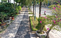 Hình dáng làn cho xe đạp đầu tiên ở TP.HCM sau 2 tháng thi công