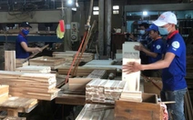 Ngành gỗ TP.HCM hợp nhất, quy tụ gần 1.000 doanh nghiệp, đặt mục tiêu xuất khẩu 15 tỉ USD