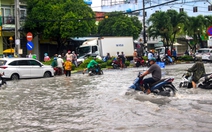 Cà Mau chi hơn 277 tỉ đồng làm 7 cống ngăn mặn, chống triều cường