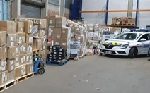 Pháp tịch thu 11 triệu đồ chơi giả, từ Labubu đến hàng Disney