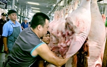 Cuối năm, giá heo hơi bật tăng trên diện rộng