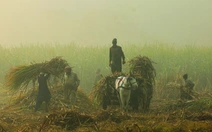 Lại một năm mờ mịt vì ô nhiễm không khí