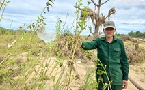 Sớm rót vốn cho nhà vườn vùng lũ