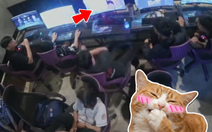 Game thủ mất tiền triệu vì tính nóng như kem