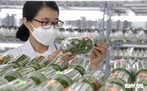 Khoa học và công nghệ mở ra cơ hội cách mạng mới trong nông nghiệp