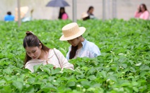 Thời tiết hôm nay 20-12: Bắc Bộ nắng yếu, Nam Bộ nắng gắt