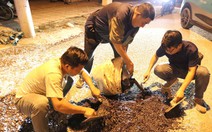 Những người trám vết thương lòng đường