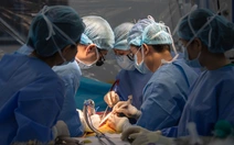 Xúc động câu chuyện thầy giáo nguy kịch, hôn mê sâu 4 ngày được sinh viên hiến gan cứu sống