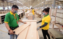 Ngân hàng UOB dự báo GDP năm 2025 của Việt Nam đạt 7,7%