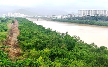 Sở kiến nghị tỉnh loại bỏ cây mọc trái thiết kế dự án thoát lũ ở Nha Trang