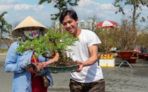 Chợ hoa xuân Bình Điền Bính Ngọ 2026: Điểm đến sắc xuân, vui Tết, mua sắm hấp dẫn