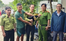 Người dân liên tiếp bắt được chim hồng hoàng quý hiếm, kiểm lâm TP.HCM khuyến cáo