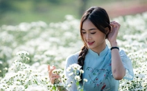 Nghỉ Tết dương lịch 4 ngày: Trường học, cơ quan nhà nước đồng loạt 'chốt lịch'