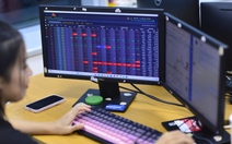 Hơn 50% cổ phiếu không có 'quà giáng sinh' cho nhà đầu tư