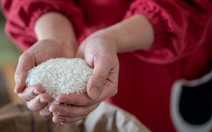 Gạo ngoại tràn vào Nhật Bản khi giá gạo nội địa lập đỉnh