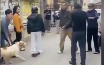 Xác minh vụ xua chó tấn công người, chó bất ngờ tấn công, xô ngã một phụ nữ