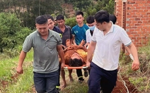 Khẩn cấp cứu thanh niên rơi xuống hố sâu khi đi làm rẫy