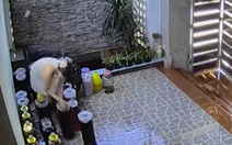 Cú trượt tay đi ngay 3 triệu rưỡi