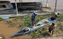 Xuyệt điện tận diệt cá tôm: Thấy trộm mà không dám lên tiếng vì sợ bị chích điện, trả thù