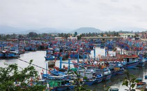 Quảng Ngãi chi hơn 20 tỉ đồng hỗ trợ chuyển đổi nghề, giải bản 130 tàu cá