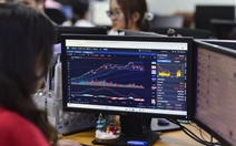 Chứng khoán ngày 31-12: Dao động biên độ hẹp quanh vùng đỉnh 1.800 điểm