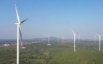 Hai nhà máy điện gió 4.000 tỉ tại Gia Lai được phát điện sau ba năm 'đắp chiếu'