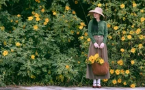 Sáng nay TP.HCM và nhiều nơi ở Nam Bộ dưới 20 độ C, Đà Lạt lạnh 8,6 độ C