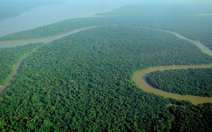 Xuất hiện kiểu khí hậu nguy hiểm ở rừng mưa Amazon, đe dọa toàn bộ hệ sinh thái