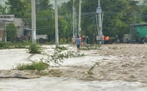 1.750 hộ bị cô lập, hàng chục tàu chìm, trôi dạt, Lâm Đồng kích hoạt ứng phó khẩn cấp