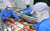 Đề xuất chuyển 300 ha đất vàng Khu chế xuất Tân Thuận  thành Khu công nghệ cao