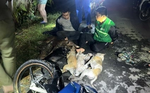 Bắt hai người cầm súng 'gặp chó trộm chó, gặp mèo trộm mèo'