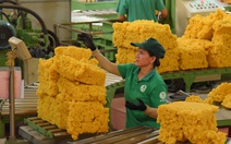 Tập đoàn Công nghiệp Cao su Việt Nam đặt mục tiêu doanh thu hơn 33.400 tỉ đồng năm 2026