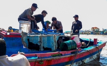 Bình Thuận lũ rút chậm, người dân gượng dậy sau hai 'đòn nước' dữ