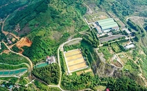 Ủy ban Chứng khoán hủy tư cách đại chúng với Nước sạch Sông Đà và Bibica