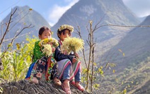 Cao nguyên đá Đồng Văn nhận giải thưởng 'Điểm đến khu vực hàng đầu thế giới'