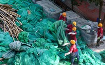 Lưới giàn giáo từ các chung cư Hong Kong đưa tới phòng thí nghiệm, phát hiện gây cháy