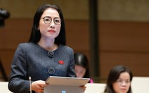 Ủng hộ khung pháp luật khác biệt cho TP.HCM, đại biểu nói phải tạo cơ chế hấp dẫn nhà đầu tư